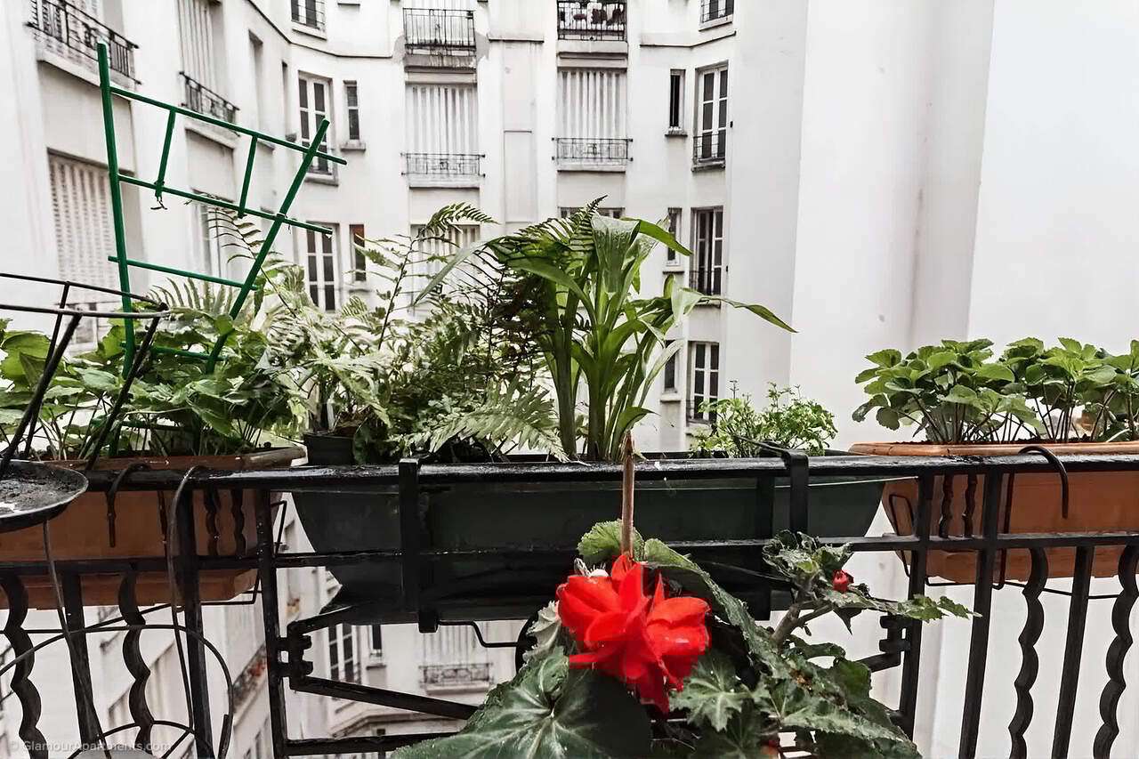 The area/environment