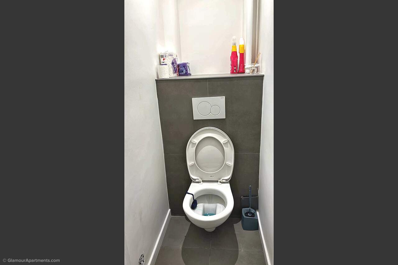 The toilet