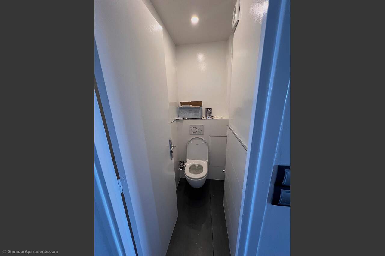 The toilet