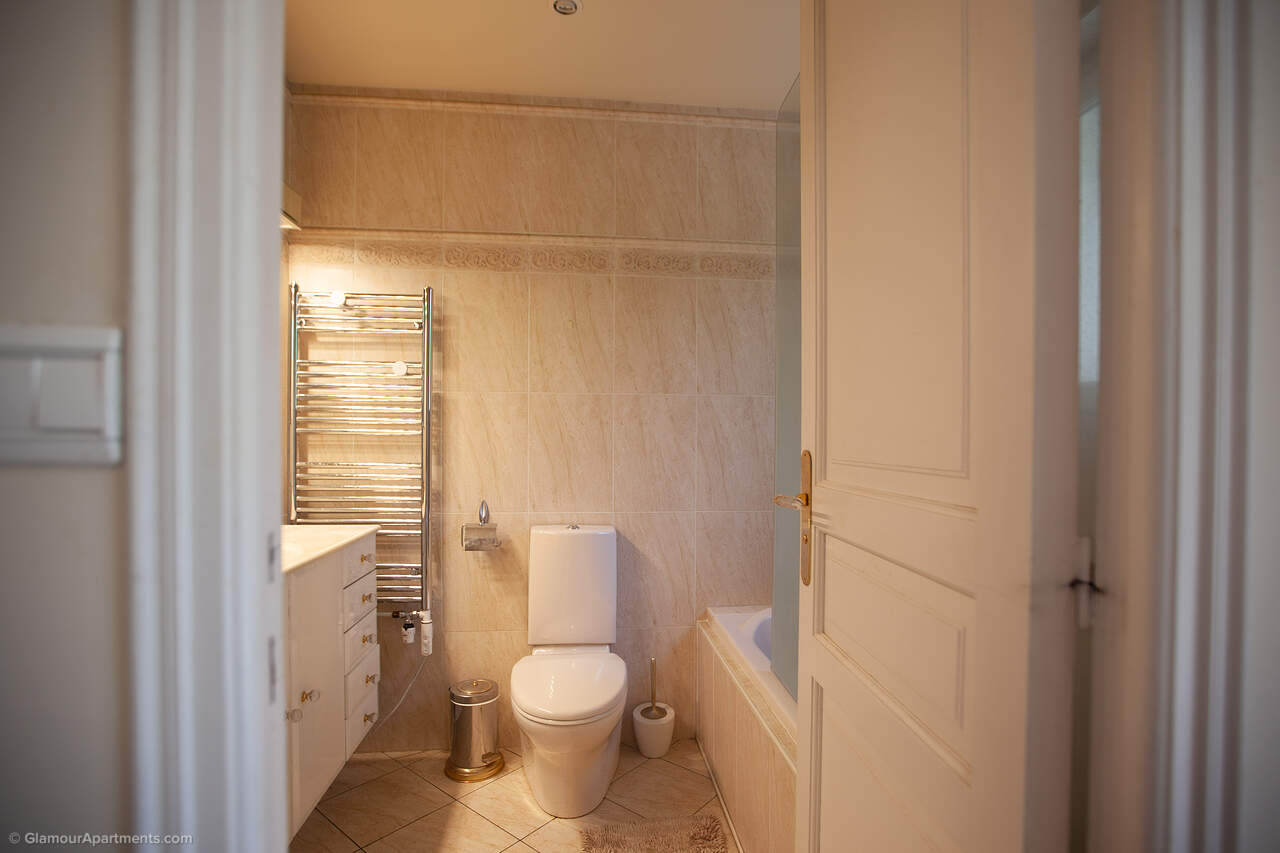 The toilet
