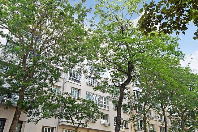 The area/environment